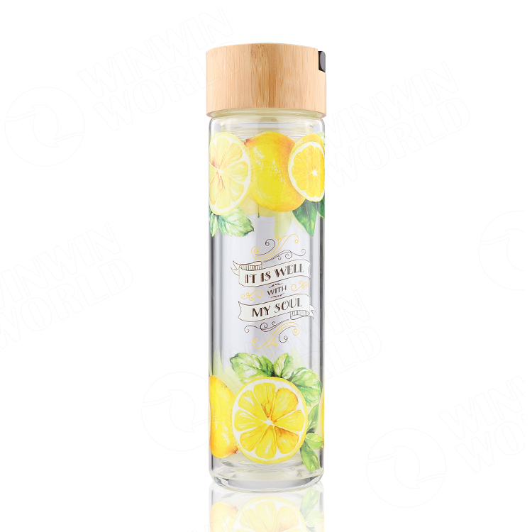 Custom Acceptable Double Wall Insulated Vacuum Glass line Interior Thermos Flask With Tea Infuser