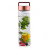 Best Summer Time Single Walled Glass Water Bottles Manufactures Wholesale Fruit Tea Brewing Bottles WIth Infuser
